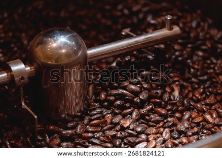 Cocoa beans roasting process with close-up of industrial machinery.