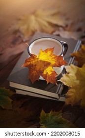 Cocoa In A Cup And A Book On A Brown Background With Autumn Leaves. A Hot And Healthy Drink. Vertical Photo. Autumn Time Of Year. Sunlight.