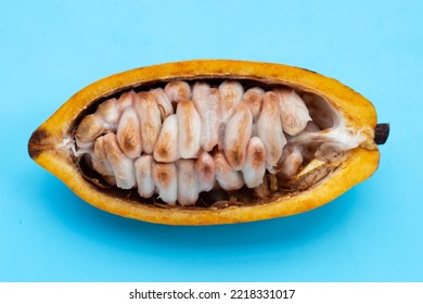 Cocoa Fruit Isolated On Blue Background