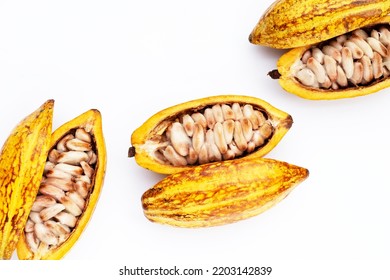 Cocoa Fruit Isolated On White Background