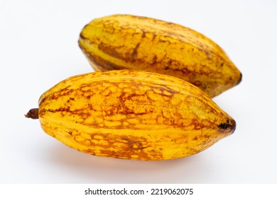 Cocoa Fruit Isolated On White Background