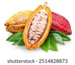 Cocoa fruits and opened cocoa pod with green leaves isolated on white background. 