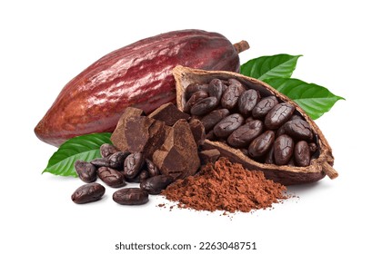 Cocoa ingredients with cocoa beans, fresh cocoa pod and cocoa mass isolated on white background.