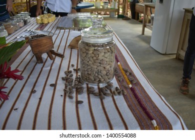 Cocoa Organic Farm In Costa Rica