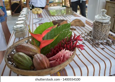 Cocoa Organic Farm In Costa Rica