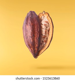 Cocoa pod flying in the air. Cracked cocoa pod levitate on yellow background. High resolution image. Levitation concept.