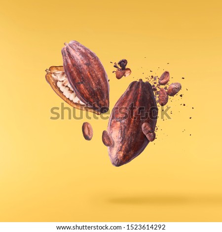 Cocoa pod flying in the air. Cracked and whole cocoa pod and beans levitate on yellow background. High resolution image. Levitation concept.