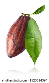 Cocoa pod flying in the air on the white background. High resolution image. Levitation concept.