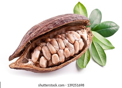 Cocoa pod with fresh cocoa beans on a white background.