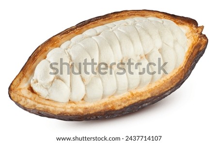 Cocoa pod. Cocoa pod isolated on white background. Cocoa bean with clipping path