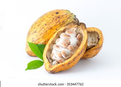 Cocoa pod on a white background.