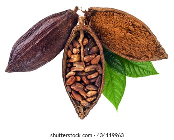Cocoa pods and cocoa beans and cacao powder with leaves isolated on white background - Shutterstock ID 434119963