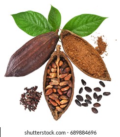 Cocoa pods, beans, nibs and powder with leaves isolated on white background