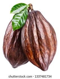 Cocoa pods with cocoa leaves isolated on a white background. Clipping path.