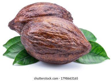 Cocoa pods with cocoa leaves isolated on a white background.