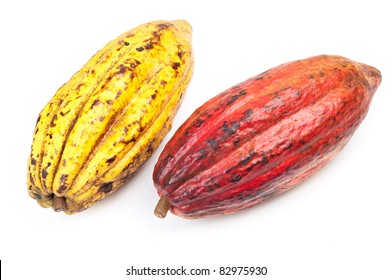 Cocoa - Raw Fruit To Making Chocolate