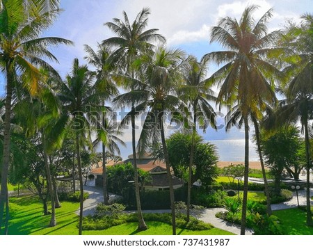 Coconut Beach House