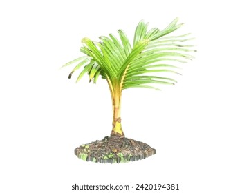 Coconut bonsai in the ground soil, isolated on a white background. - Powered by Shutterstock