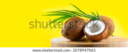 Coconut with coconuts green palm tree leaf on yellow background. Beauty treatments. Coco nut closeup. Healthy Food, skin care concept. Vegan food, cosmetics. Wide screen. 