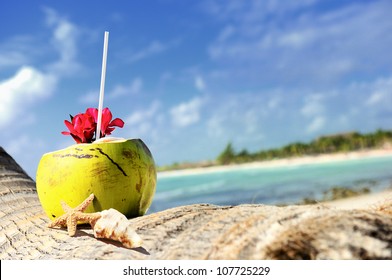 Coconut with drinking straw on a palm tree at the sea