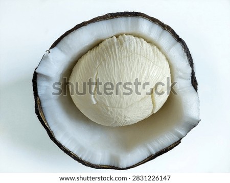 Coconut embryo growing inside split coconut shell isolated on white background