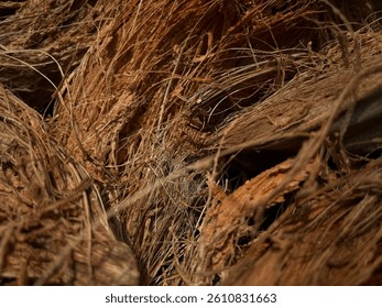 coconut fibre used to make mat thread basket