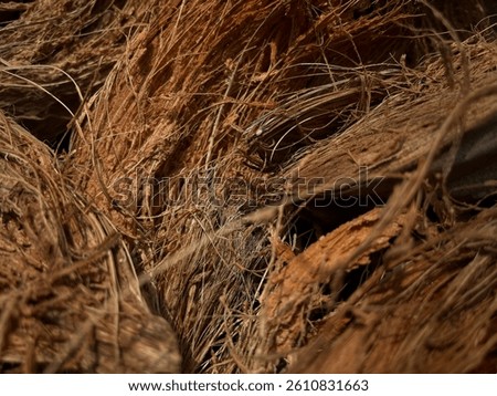 coconut fibre used to make mat thread basket