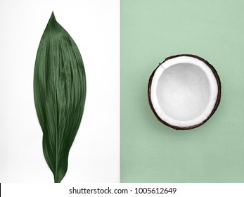 Coconut Flat Lay Half Coconut In Peel And Big Bright Green Leaf Are Lying On Two-tone Background Top View Trendy Colorful Photo Mockup With Space For Text