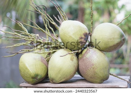 Coconut fruits on table, harvested from garden. Concept agriculture crops in Thailand. Healthy summer fruit. Thai farmer grows coconut trees for selling in local market or sharing to neighbors.       