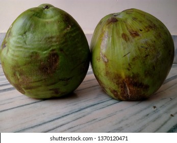 Coconut Fruitthe Endosperm Initially Nuclear Phase Stock Photo ...