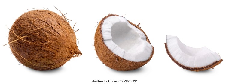 Coconut isolated set. Collection of whole coconut, half coconut and piece of coconut isolated on white background.