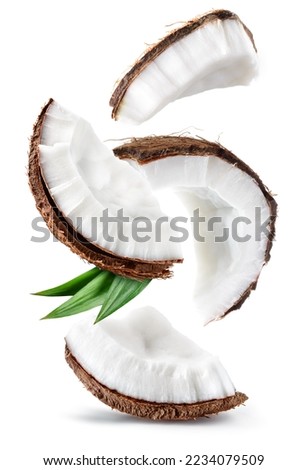 Coconut isolated. Coconut slice and piece with leaves on white background. Broken white coco flying. Composition. Full depth of field.