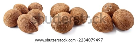 Coconut isolated. Whole coconuts on white background. Coconut set. Coco nut collection. Full depth of field.