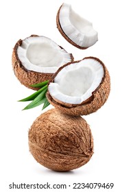 Coconut isolated. Coconut whole, half and piece with leaves on white background. Broken white coco flying. Full depth of field.