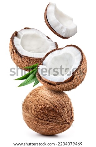 Coconut isolated. Coconut whole, half and piece with leaves on white background. Broken white coco flying. Full depth of field.