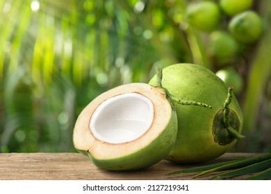 Coconut juice in half fruit with coconut tree background. - Shutterstock ID 2127219341