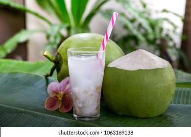 Coconut juice,Drink coconut water