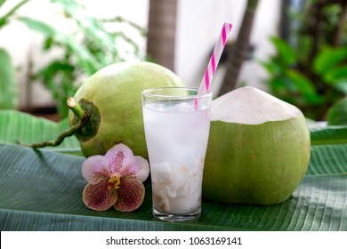 Coconut Juice,Drink Coconut Water
