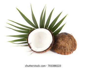 Coconut Palm Leaves Isolated On White Stock Photo (Edit Now) 212774347