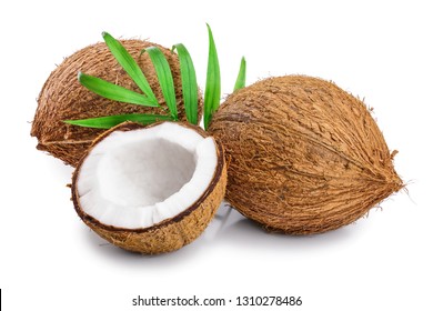 coconut with leaves isolated on white background - Shutterstock ID 1310278486