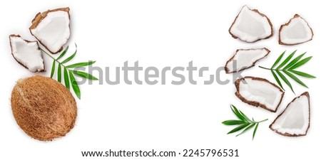 coconut with leaves isolated on white background with copy space for your text. Top view. Flat lay