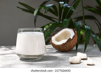 Coconut Milk In Glass And Half Of Coconut On Palm Leaf Background. Vegetable Milk, Lactose Free Non Dairy Healthy Drink. Vegan Food.