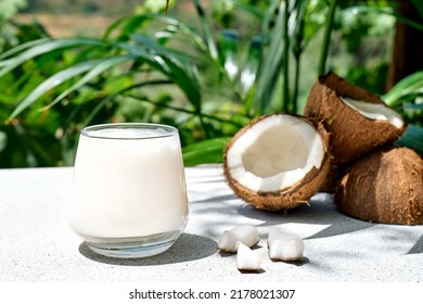 Coconut Milk In Glass And Half Of Coconut On Palm Leaf Background. Vegetable Milk, Lactose Free Non Dairy Healthy Drink. Vegan Food.