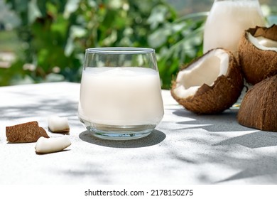 Coconut Milk In Glass And Half Of Coconut On Palm Leaf Background. Vegetable Milk, Lactose Free Non Dairy Healthy Drink. Vegan Food.