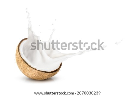 Coconut milk splash isolated on white background. Copy space.