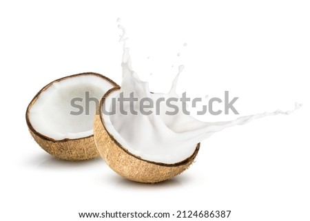 Coconut milk splash isolated on white background. Copy space.