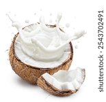 Coconut milk splashing out from split coconut fruit and piece of coconut near it . File contains clipping path.