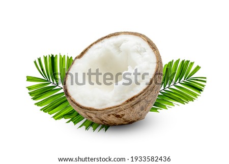 Coconut milk tropical fruit or fluffy coconut cut in half with palm leaf isolated on white background