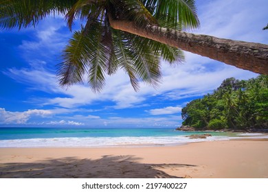 Coconut Palm Beach. Sea Sky Clouds. Sand Wave Water Turquoise. Tropical Palm Tree Island Summer Paradise. Text Space Area. No People.