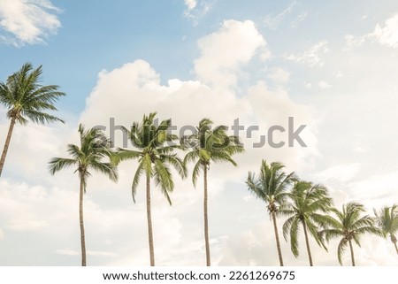 Coconut palm tree at beach with cloud on sky in summer - vintage color tone.	